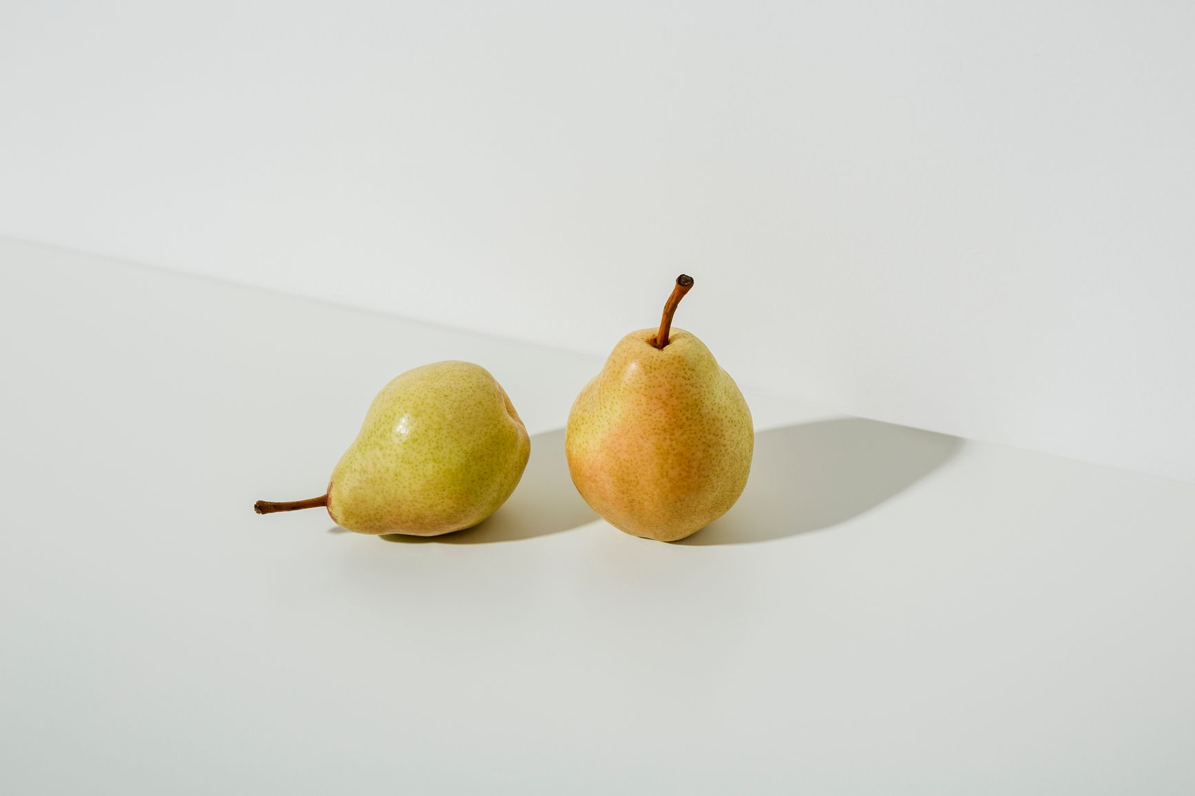 Seasonal Picks